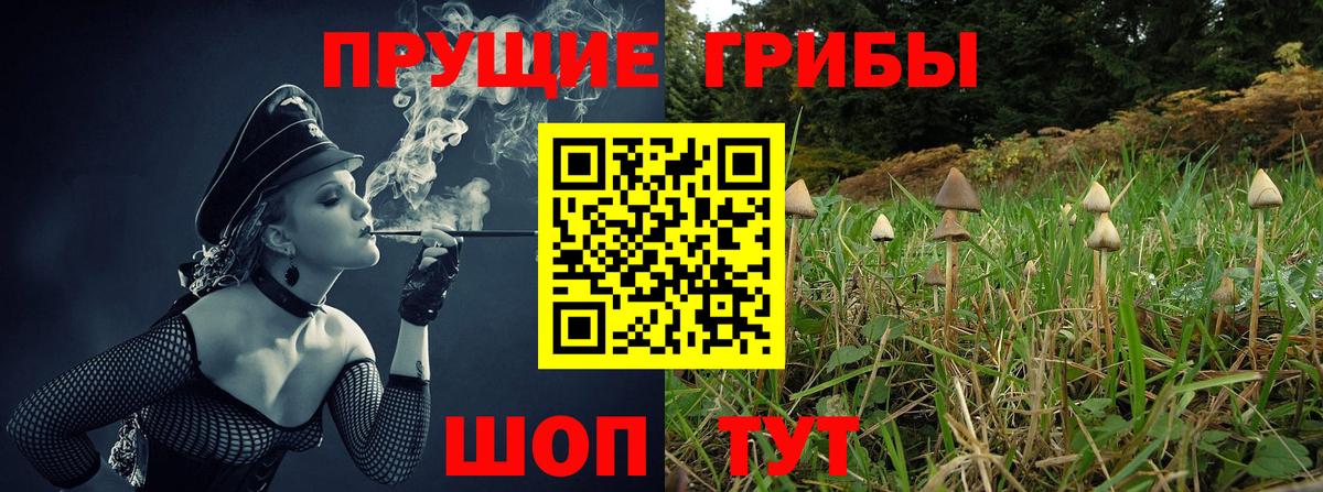 Галлюциногенные грибы ЛСД  Вход с VPN  Галлюциногенные грибы MAGIC MUSHROOMS  где купить наркоту  Гусиноозёрск 