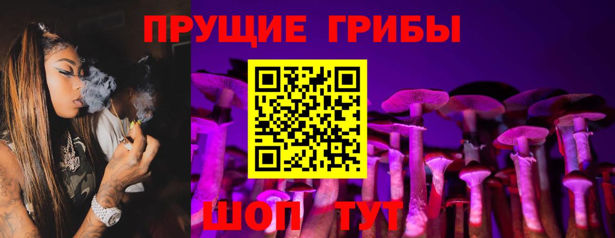 Псилоцибиновые грибы мухоморы Гусиноозёрск